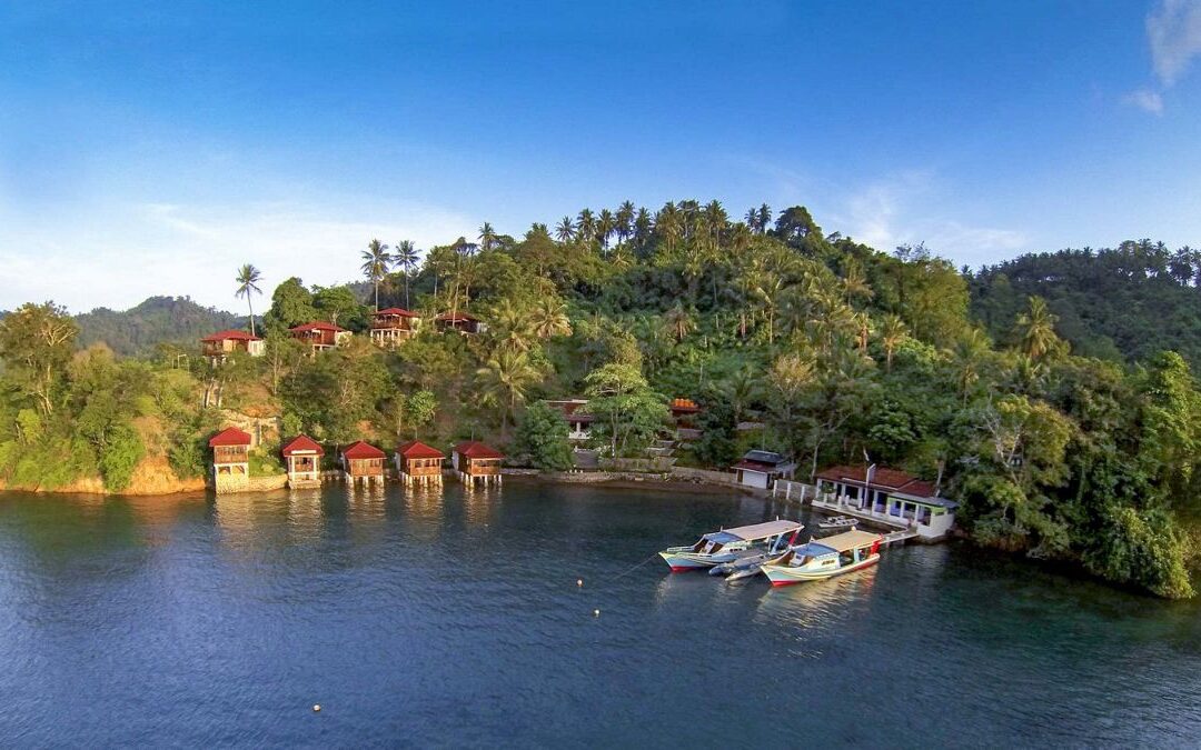 Bastianos Froggies Lembeh Dive Resort