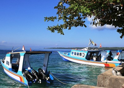 Dive Boats