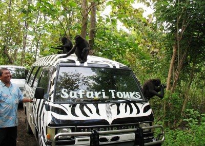 Manado Safari Tours