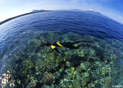 Snorkeling in the Bunaken National Park