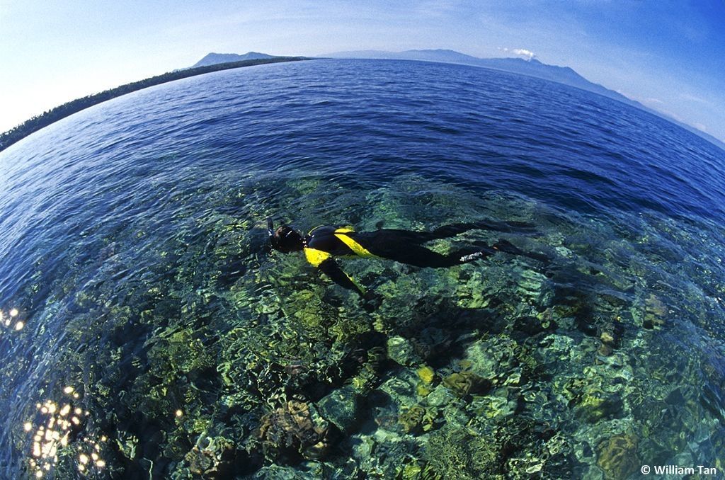 bunaken diving trip manado