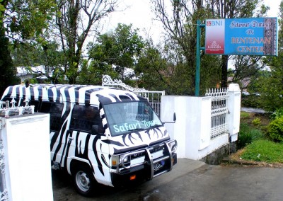 Safari Tours minibus