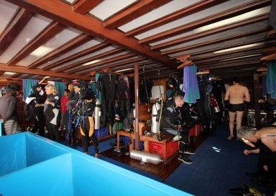 Dive Deck