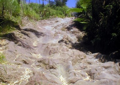 Frozen lava stream