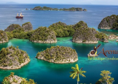 Arenui in Raja Ampat