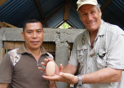 Maleo egg