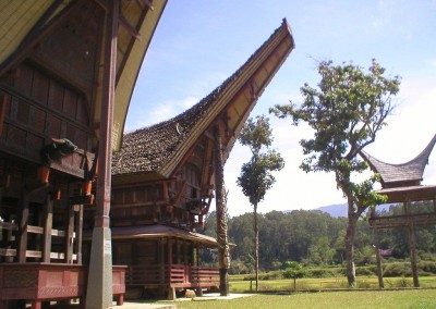 Traditional houses with horns