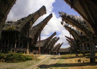 Toraja