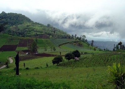 Fields in Rurukan