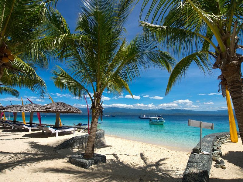 Prince John Dive Resort Palu