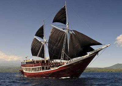 The Seven Seas