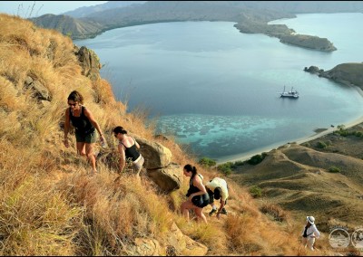 Exploring Komodo