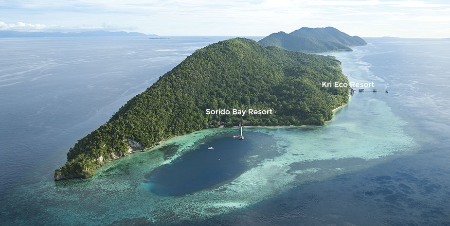 Papua Diving Resorts