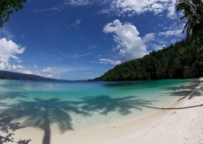 Beach, Triton Bay Divers