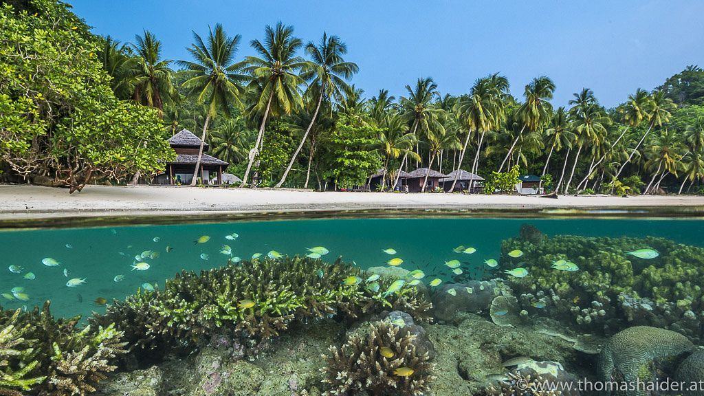 Triton Bay Divers