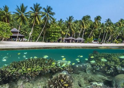 Triton Bay Divers