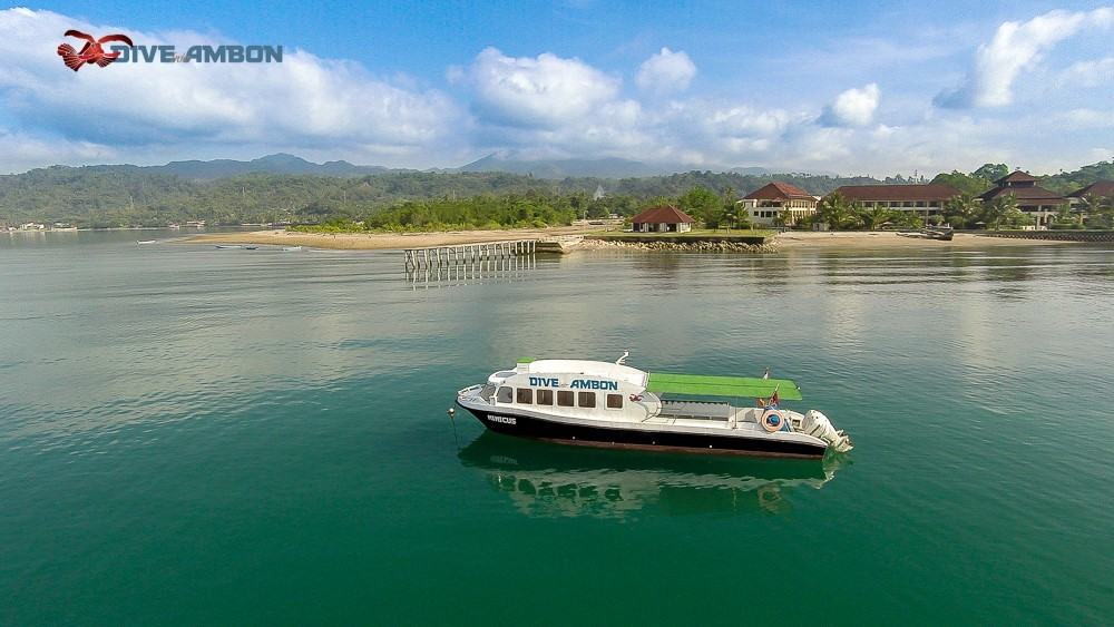 Dive Into Ambon, Moluccas Dive Into Ambon