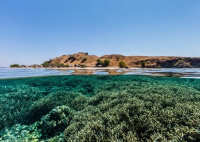 Komodo Resort