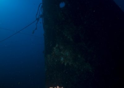 Diving Bali