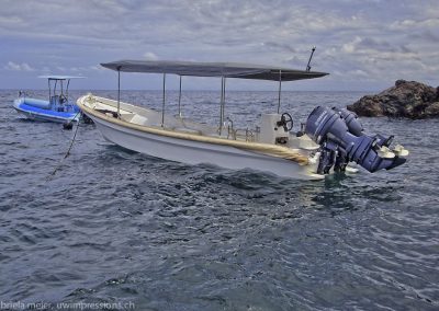 Dive boats