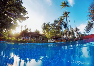 Cottages, seen from pool