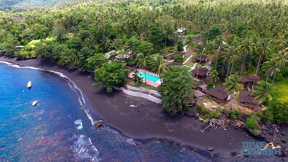 Dive Into Lembeh - Hairball Resort