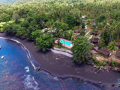 Dive Into Lembeh