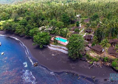 Dive Into Lembeh (Hairball Resort)