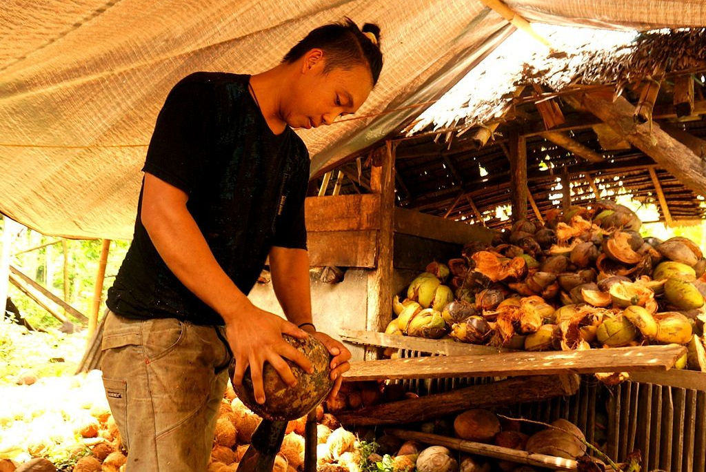 Coconut processing