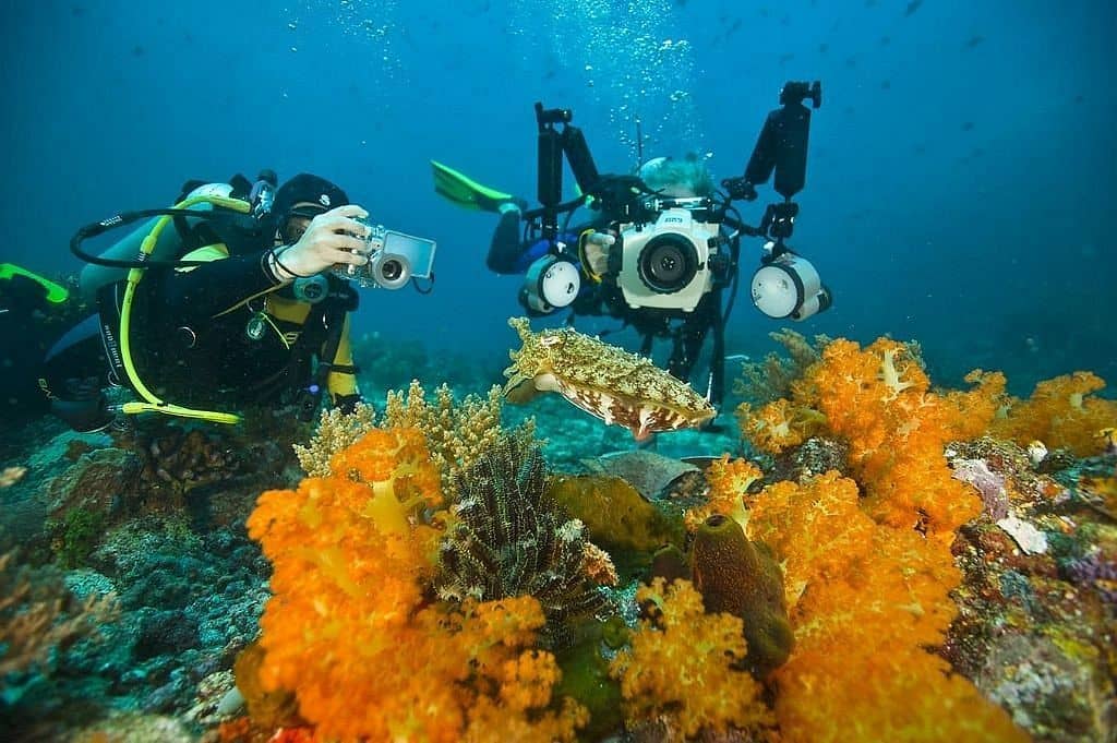 bunaken diving trip manado