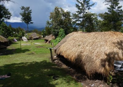 Traditional house