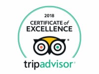 Certificate of Excellence 2018