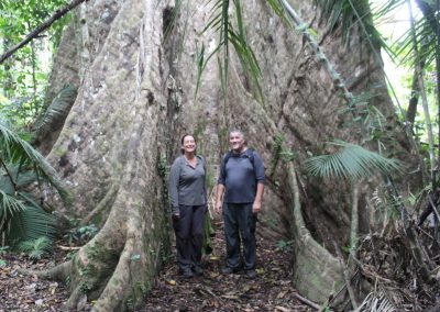 Nantu Forest