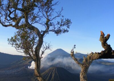 Bromo view