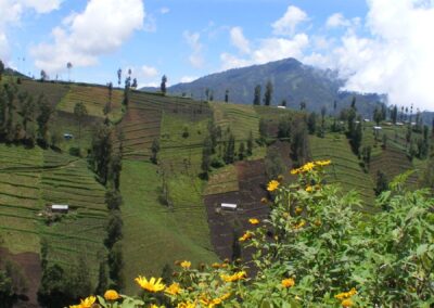 Mt. Bromo view