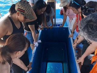 Bunaken Glass Bottom Boat Tour